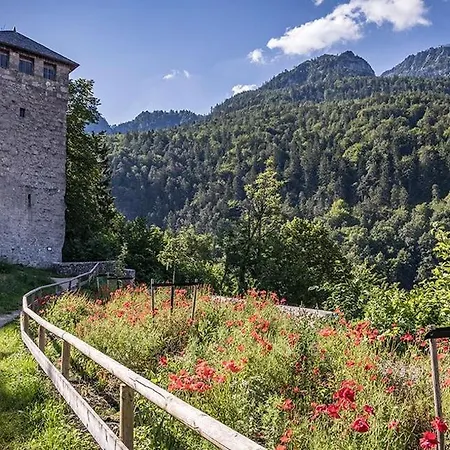 Alpenhome *